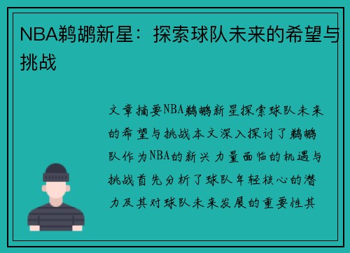 NBA鹈鹕新星：探索球队未来的希望与挑战